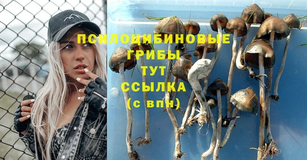 индика Алзамай