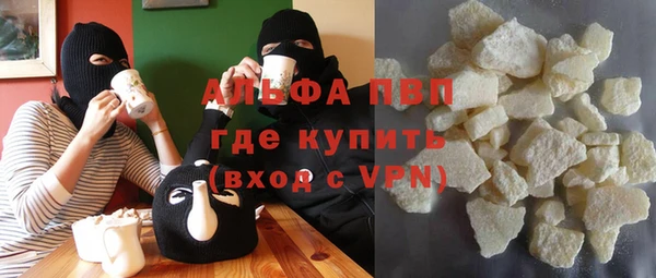 индика Алзамай