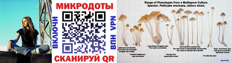 дарнет шоп  Жуковка  Псилоцибиновые грибы мухоморы 